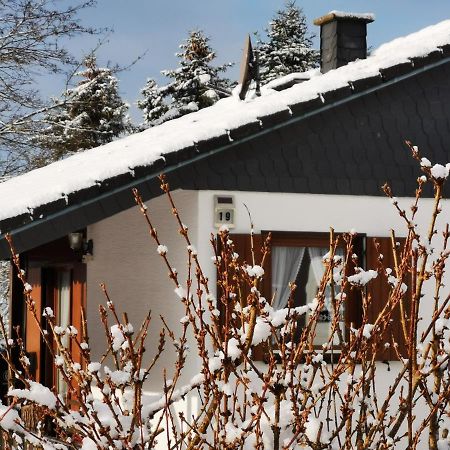 Bb19 Eifel-Ferienhaus Am Moseltal Mit Saunahaus Beuren  المظهر الخارجي الصورة