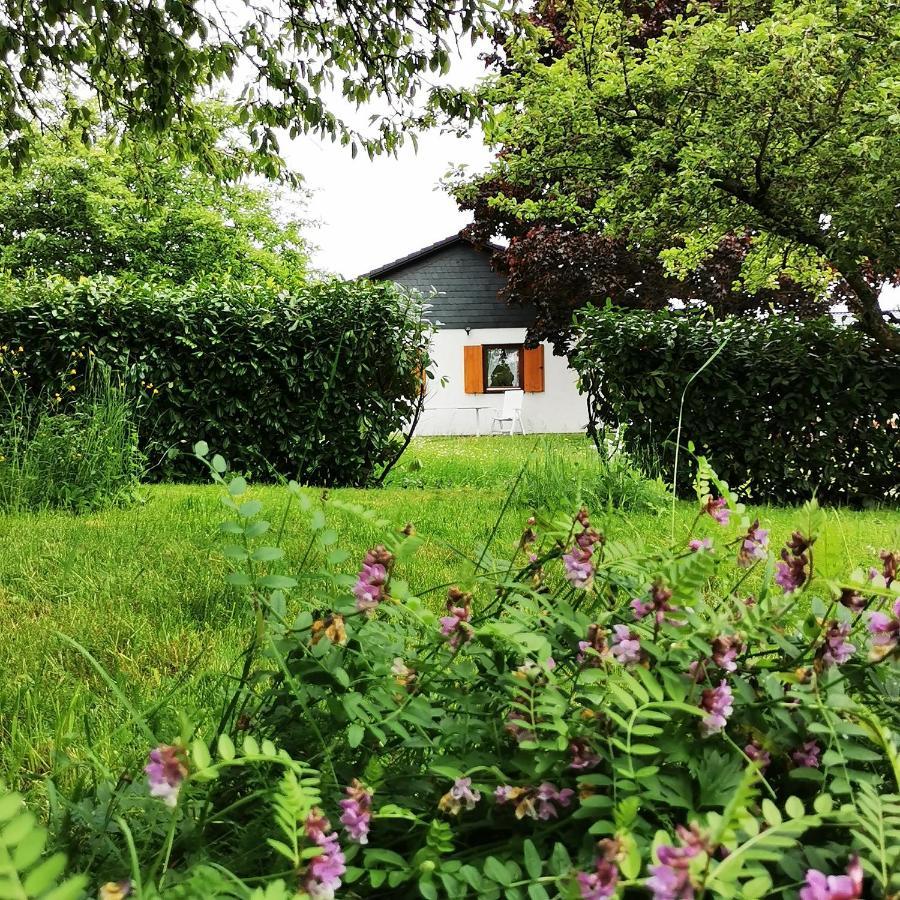 Bb19 Eifel-Ferienhaus Am Moseltal Mit Saunahaus Beuren  المظهر الخارجي الصورة